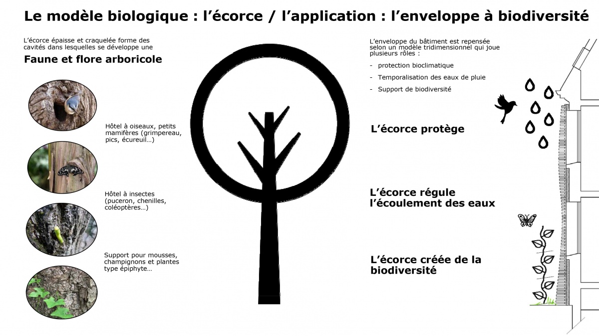image_projet_106165.jpg