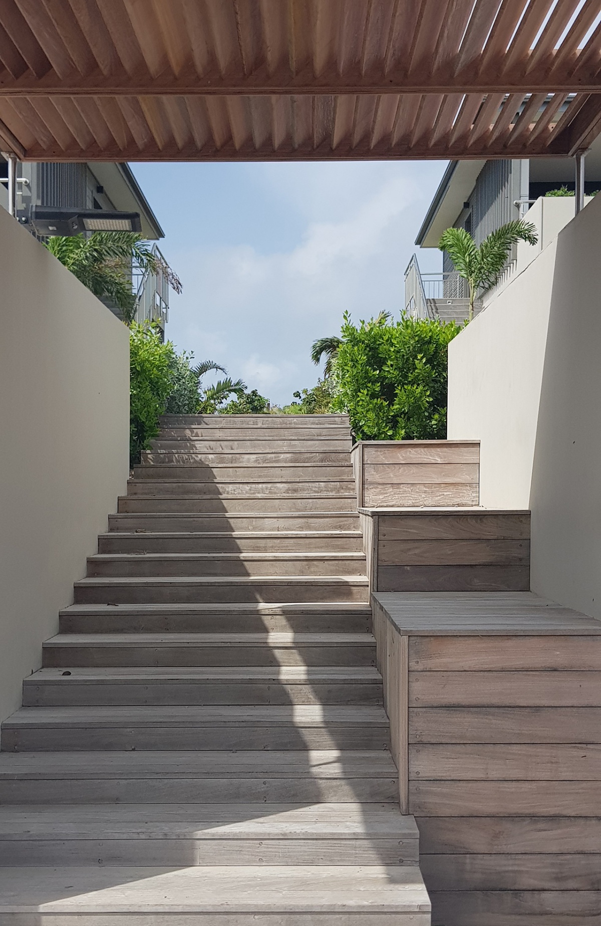 image_projet_109779.jpg